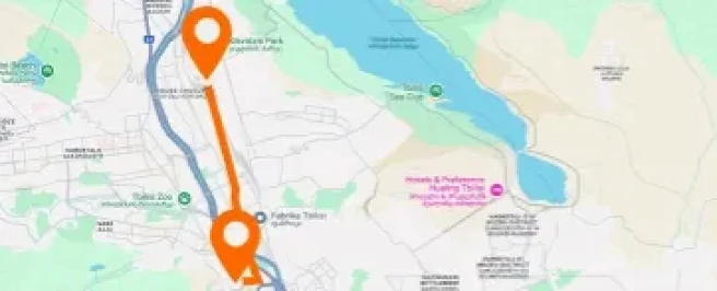 Tsotne Dadiani — Nikoloz Baratashvili — vertical layout